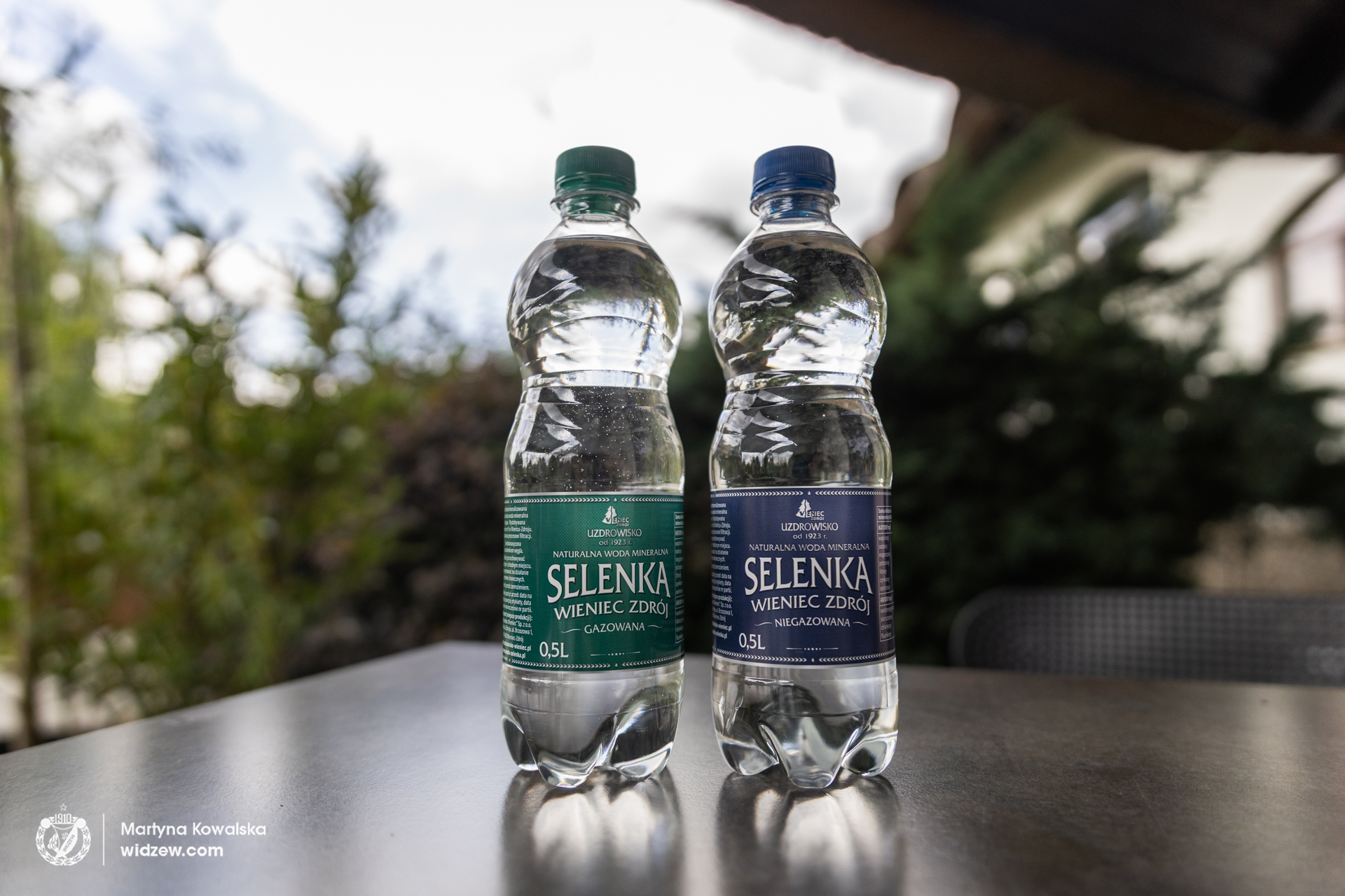 Selenka-1